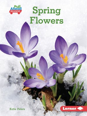 cover image of Spring Flowers
